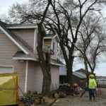 Andy's Stump And Tree Service - Another dangerous Tree Removal in action.