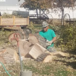 Andy's Stump And Tree Service - Stump grinding in action.