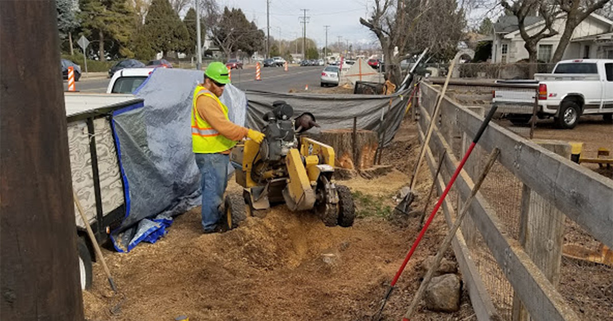Lot Clearing and Grubbing | Andy's Stump and Tree Service - Utah