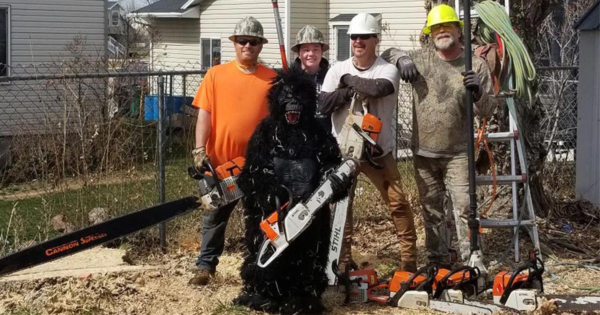About Us | Andy's Stump and Tree Service - Weber and Davis, UT