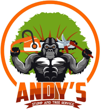 Andys-Logo-Final
